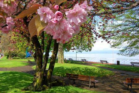 Promenade port Evian Promenade port Evian