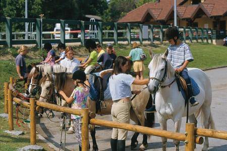 Ecole d'equitation Ecole d'equitation
